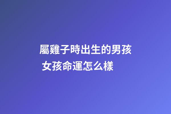 屬雞子時出生的男孩 女孩命運怎么樣